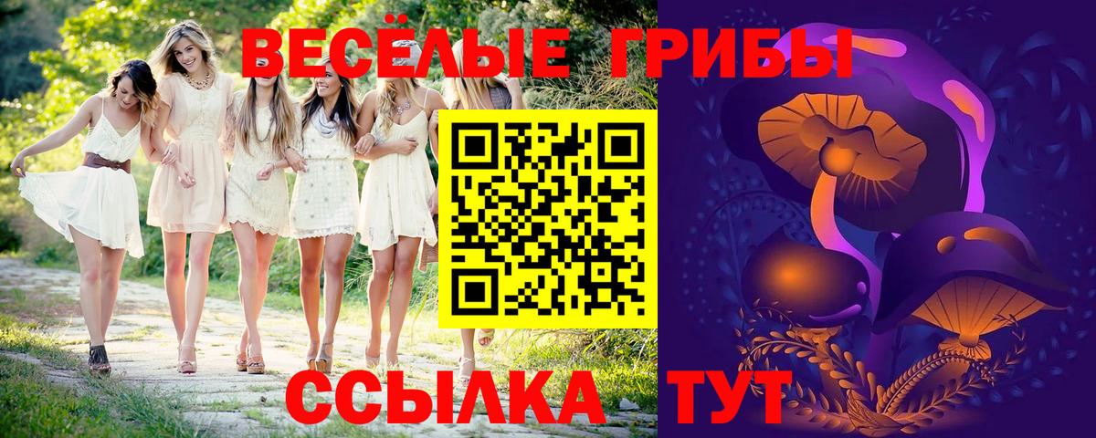 Бахчисарай  Псилоцибиновые грибы GOLDEN TEACHER  как найти закладки  Вход с VPN 